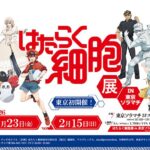 はたらく細胞展 in 東京ソラマチ｜1月23日（金）～2月15日（日）東京ソラマチでからだを学ぶ体験型展示